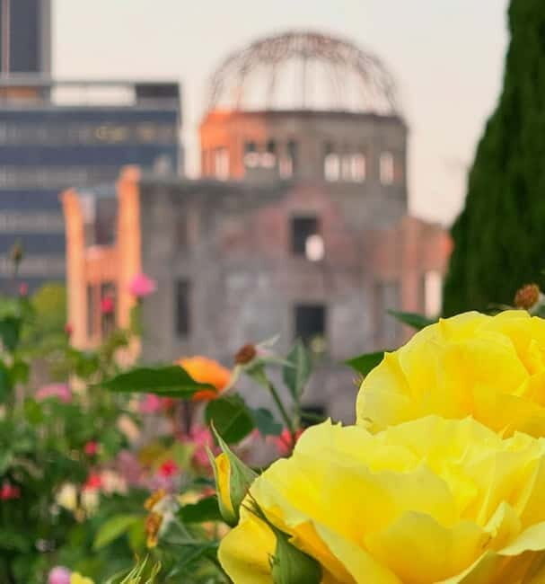 Private Tour of Hiroshima in Spanish: History, emotion, and local guide - Who Should Consider This Tour?