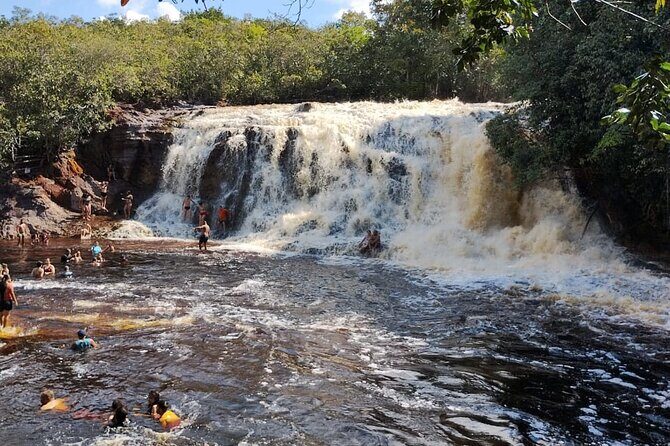 Private Tour of Iracema and Asframa Waterfalls in Manaus - Experience the Best of Manaus: Private Waterfalls Tour in President Figueiredo
