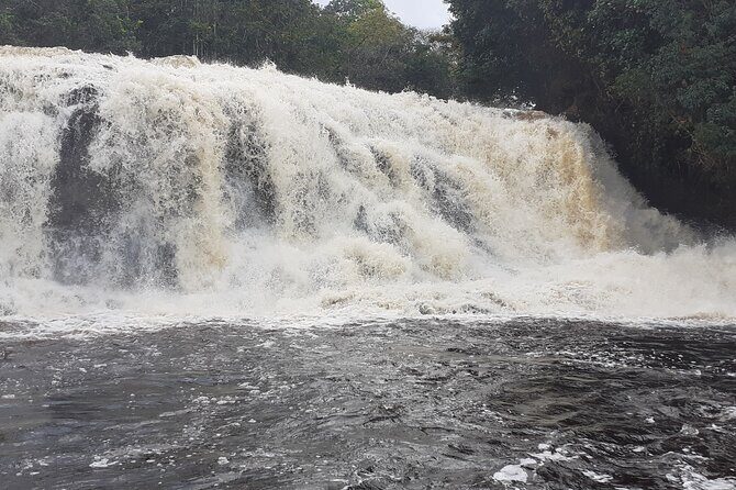Private Tour of Iracema and Asframa Waterfalls in Manaus - Who Should Consider This Tour?