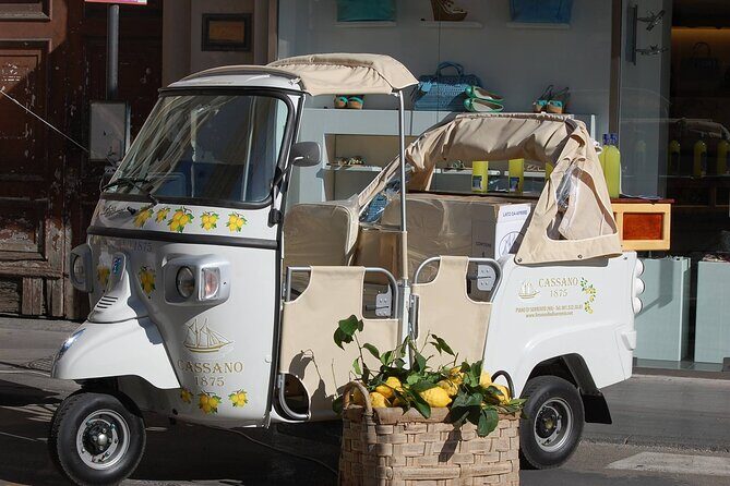 Private tour of limoncello igp with tasting by the sea - FAQ