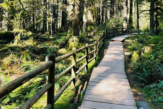 Private Tour of Lynn Canyon Suspension Bridge - Who This Tour Is Perfect For