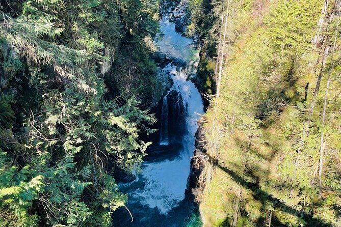 Private Tour of Lynn Canyon Suspension Bridge - The Sum Up: Is This Tour Right for You?