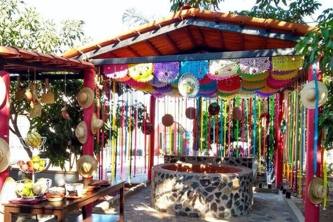 Private Tour of Magic Town Tequila Adventure Day Tour - FAQs