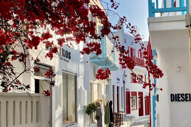Private Tour Of Mykonos Included Town - The Sum Up
