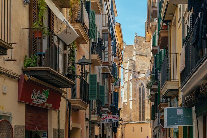 PRIVATE TOUR of Palma de Mallorca: Highlights & Hidden Gems - Final Thoughts