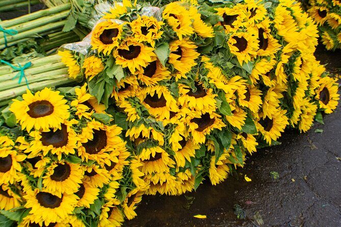 Private Tour of Paloquemao Square with Gastronomic Tasting - FAQs