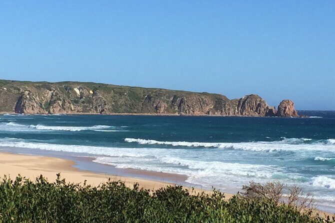 Private Tour of Phillip Island & Penguins with personal tour guide - Pricing and Value