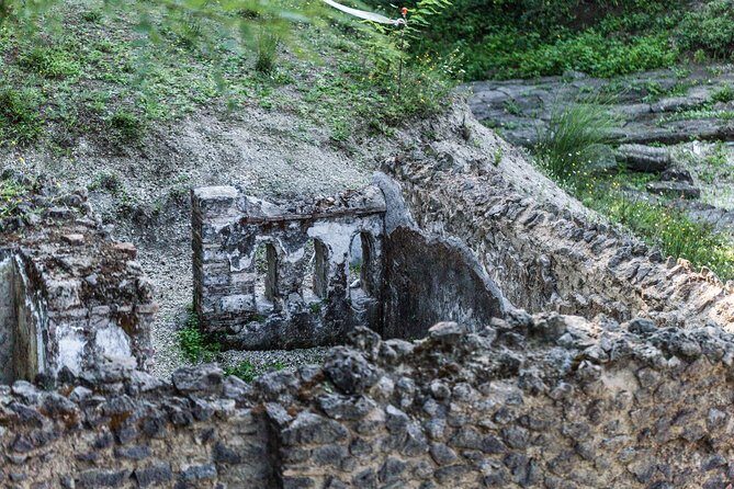 Private tour of Pompeii Ruins + Organic Wine and Lunch tasting - Wine and Lunch: A Feast for the Senses