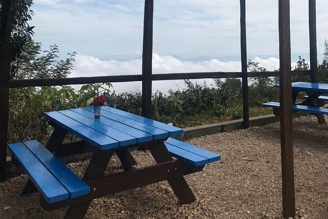 Private Tour of Port Au Prince area - A Deeper Look at the Private Tour of Port-au-Prince