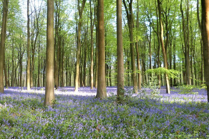 Private Tour of Quintessential Wiltshire and Cotswold Villages - The Sum Up