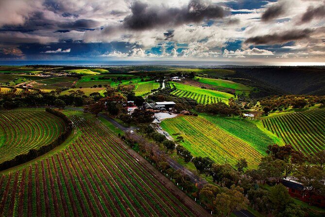 Private Tour of Rojina's Fleurieu in McLaren Vale - Discover the Flavors of the Fleurieu with Rojinas Private McLaren Vale Tour