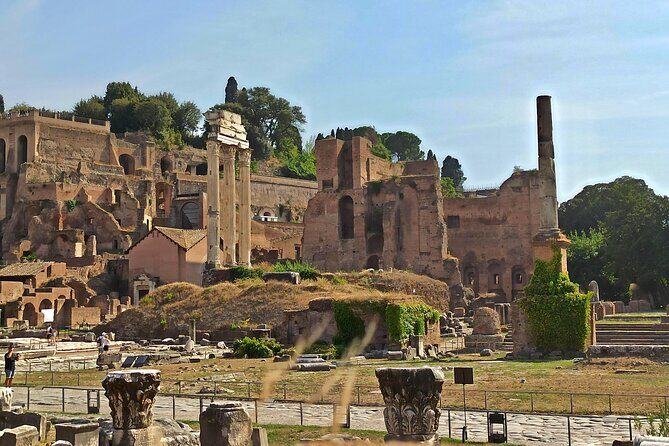 Private Tour of Roman Forum, Palatine Hill and Circus Maximus - Practical Details That Make a Difference
