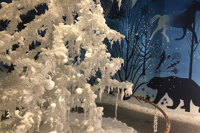 Private Tour of Swarovski Crystal World from Innsbruck - FAQ