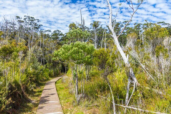 Private Tour of Tahune Airwalk and Hastings Caves from Hobart - What to Expect from the Entire Experience