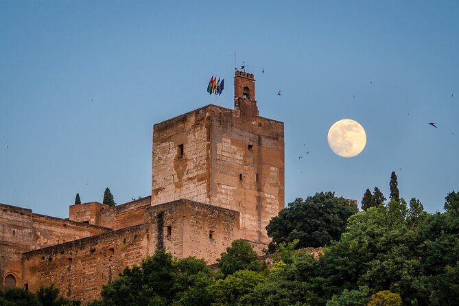 Private tour of the Alhambra entrances included - Discover the Alhambra with a Private Guided Tour