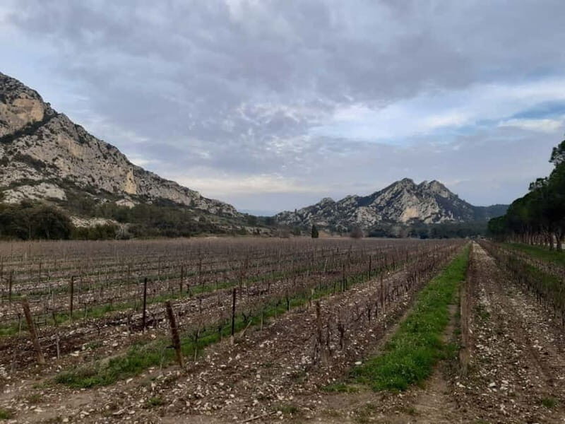 Private tour of the Alpilles, wine tastings, and local restaurant - Discover the Beauty of the Alpilles with a Private Wine Tour