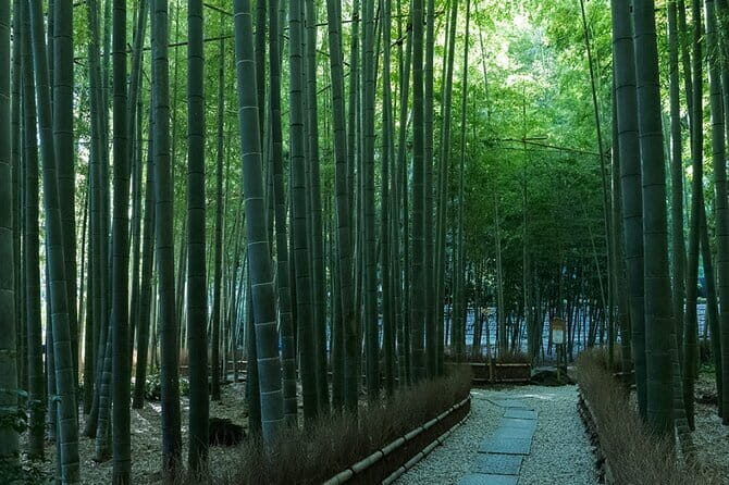Private Tour of the Ancient Capital Kamakura from Tokyo - Practical Details and What to Expect