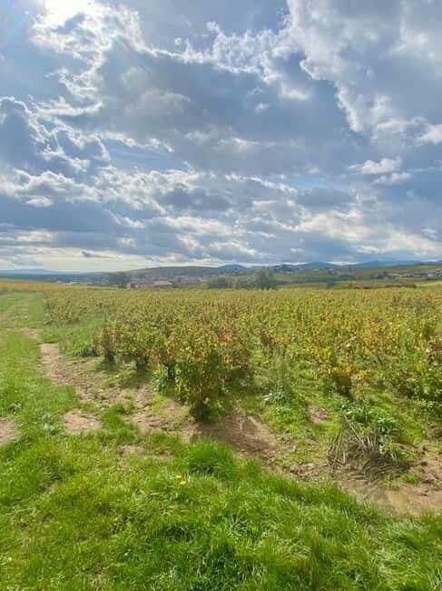 Private tour of the Beaujolais region, wine tastings, and local restaurant - FAQ