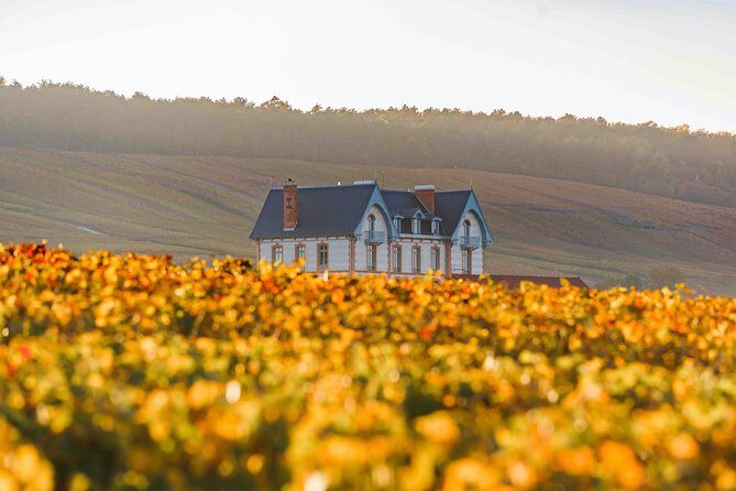 Private tour of the Champagne area, meet local producers and taste their Champagne, start from your hotel in Paris. - Discovering the Champagne Region: A Deep Dive into the Itinerary