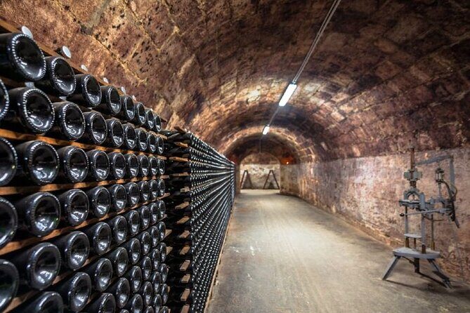 Private tour of the Champagne area, meet local producers and taste their Champagne, start from your hotel in Paris. - Who Would Love This Tour