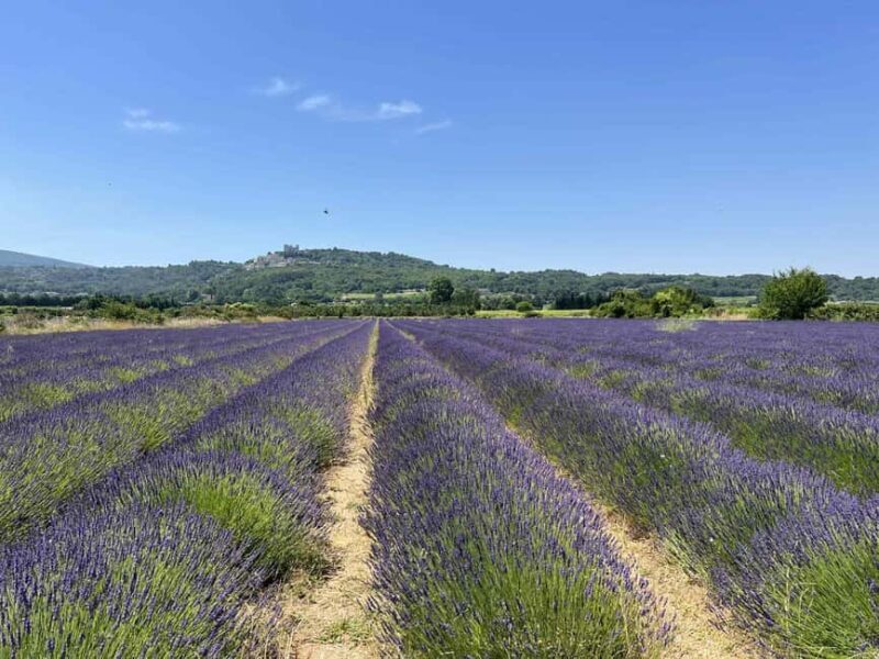 Private tour of the hilltop villages of the Luberon with a local guide - Private Tour of the Hilltop Villages of the Luberon with a Local Guide