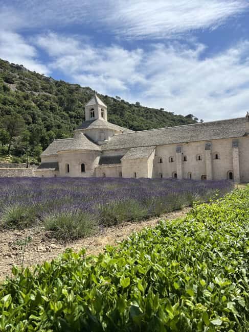 Private tour of the hilltop villages of the Luberon with a local guide - Who Will Appreciate This Tour?