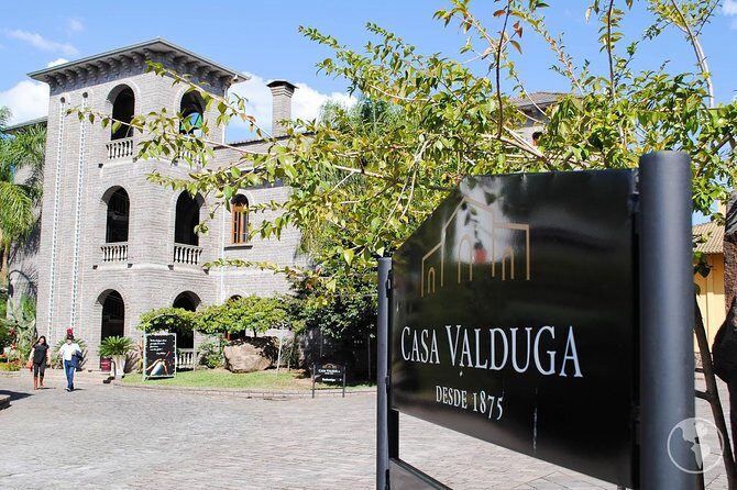 Private Tour of the Largest Wineries in Bento Gonçalves RS - Exploring the Details: What Makes This Tour Special?