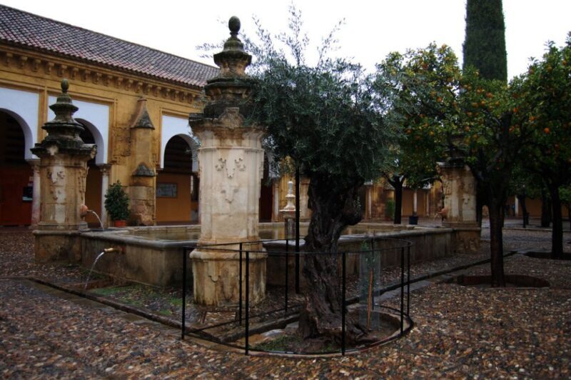 Private Tour of the Mosque-Cathedral and Jewish Quarter - Authentic Experiences and Reviews