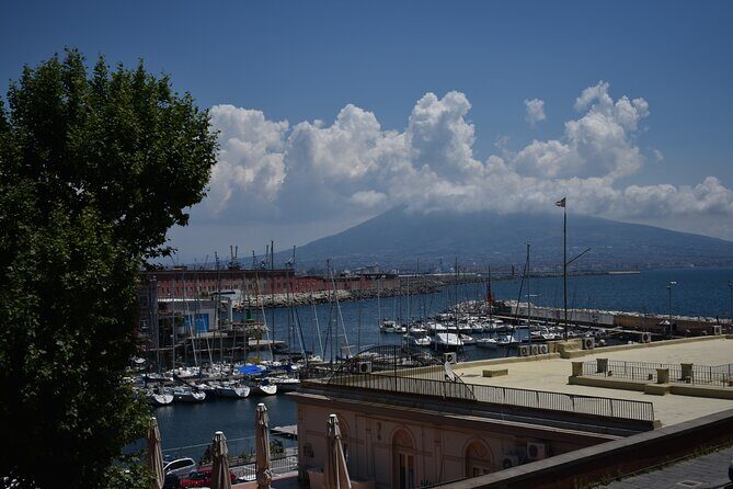 Private Tour of the Naples Royal Palace and Saint Martin Certosa - Exploring Naples’ Royal Heritage and Scenic Vistas