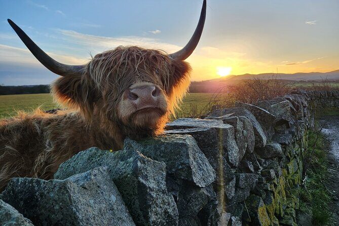 Private Tour of the Scottish Highlands from Edinburgh - Why This Tour Works (and Who It’s For)