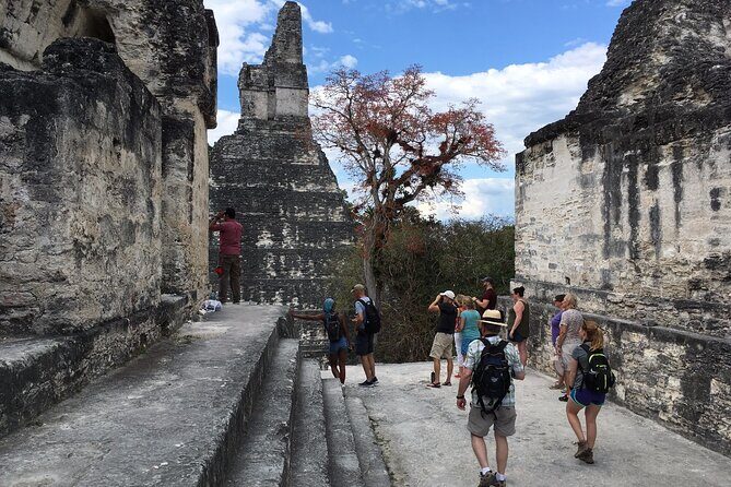 Private Tour of Tikal from Belize Western border - Final Recommendation
