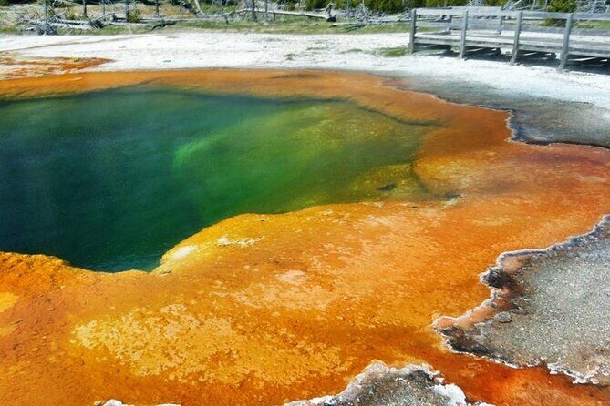 Private Tour of Yellowstone Lower Loop - Key Points