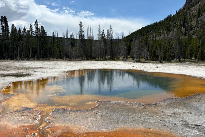 Private Tour of Yellowstones Natural Wonders from Jackson Hole - Exploring Yellowstone with a Private Guide: A Closer Look
