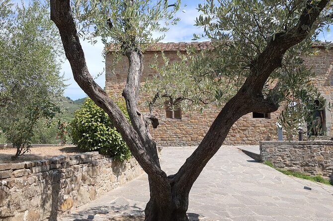 PRIVATE TOUR: oil production, Leonardo's house, tasting - FAQ