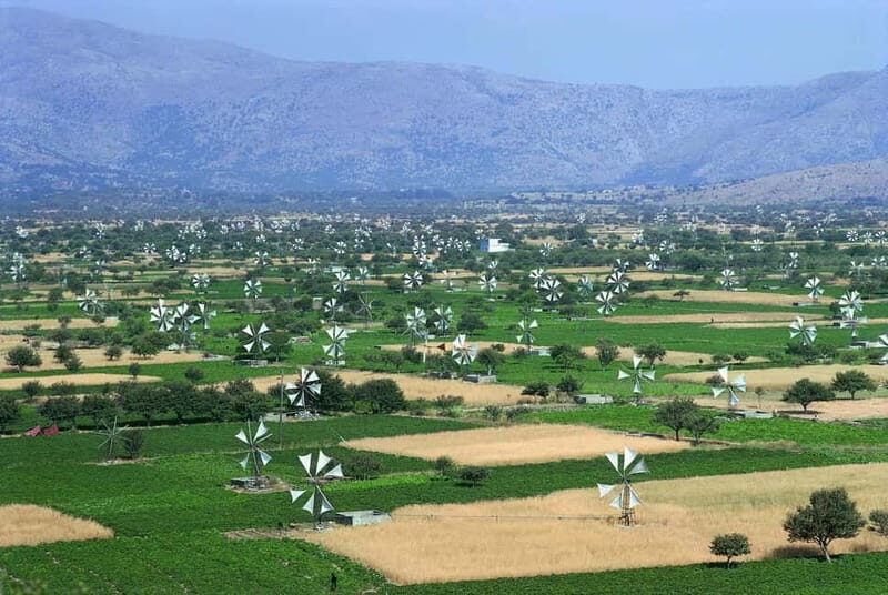 Private Tour, Olive Mill, Scotino Cave, Lasithi Plateau H/D - Key Points