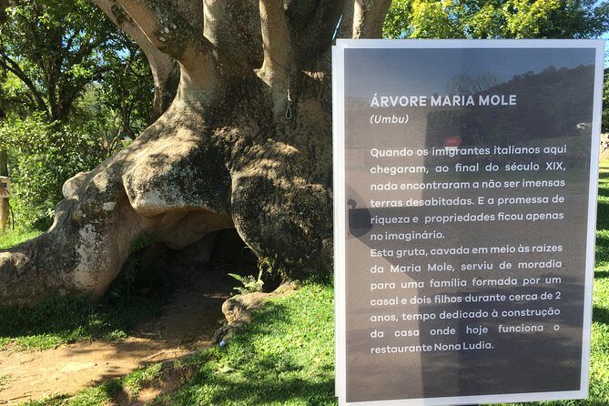 Private tour on Caminhos de Pedra in Bento Gonçalves RS - An In-Depth Look at the Tour Experience