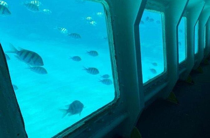 Private Tour on Roatan with a Professional Guide - The Practicalities: What You Need to Know