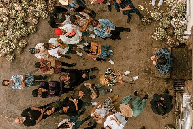 Private Tour one day of Adventure in Tequila and Tequilera Cascahuin - A Deep Dive into the Tequila and Cascahuin Experience