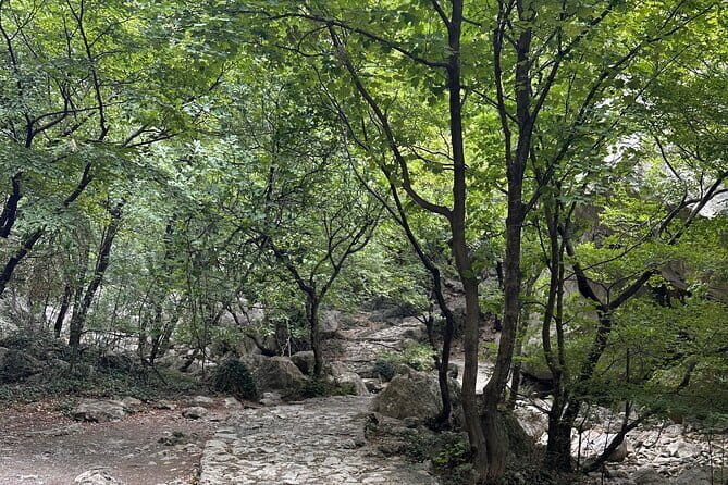 Private Tour Paklenica Cave National Park and Museum Visit - Transportation, Group Size, and Price Analysis