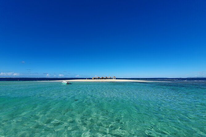 Private Tour Paradise Island & Manatee Sanctuary & Local Fish Bar - The Sum Up