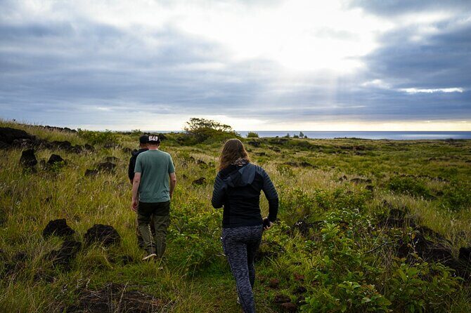Private Tour Per Day In Following the Ancestral Orongo footprint and caves - In-Depth Review of the Tour Experience