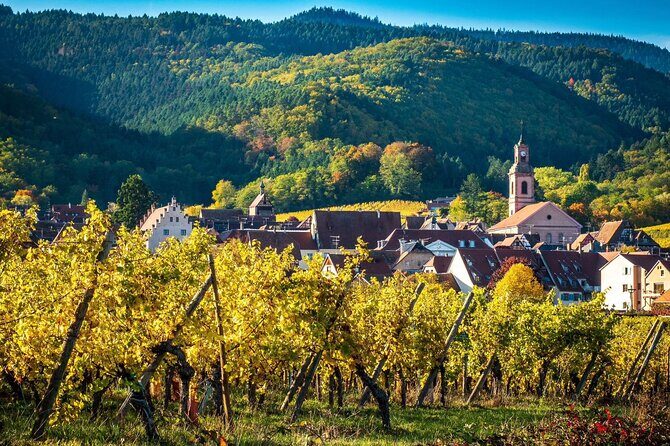 Private Tour: Picturesque Alsatian Villages & Wine Tasting with a local expert - Who Should Consider This Tour?