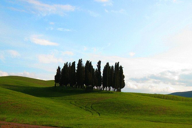 Private Tour: Pienza and Montalcino Organic Cheese and Wine Tour - A Deep Dive into the Tuscany Cheese and Wine Tour