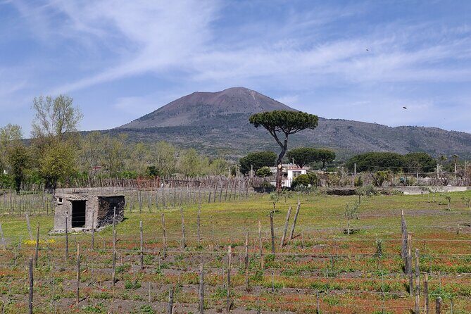 Private Tour Pompeii and Herculaneum - Practical Details: What You Can Expect
