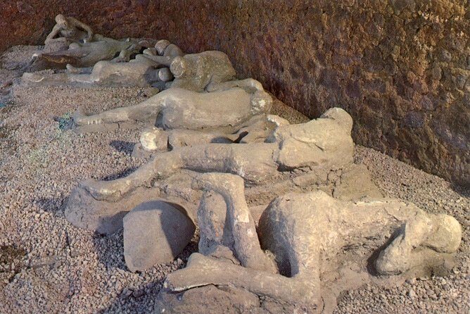 Private Tour: Pompeii Half-Day Trip from Naples - Real Experiences from Travelers