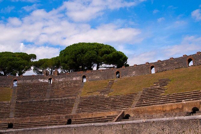 Private Tour: Pompeii Ruins from Rome in a Day - Who Will Love This Tour?