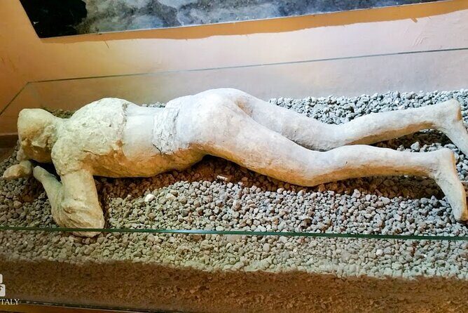 Private Tour: Pompeii Tour with Family Tour Option - Final Thoughts