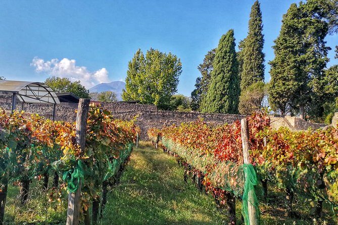 Private Tour: Pompeii & Wine Tasting at the Slopes of Mt Vesuvius - Exploring Pompeii: An Ancient City Frozen in Time
