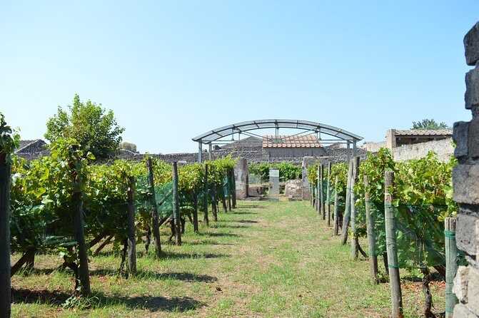 Private Tour: Pompeii & Wine Tasting at the Slopes of Mt Vesuvius - Who Will Love This Tour?