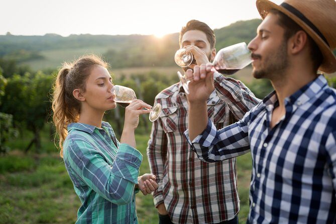 Private Tour: Pompeii & Wine Tasting at the Slopes of Mt Vesuvius - The Sum Up